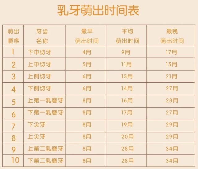 第三代代孕宝宝什么时候开始长牙